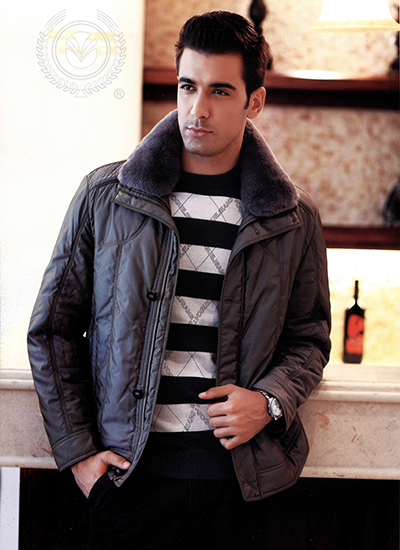 ��ʿ����